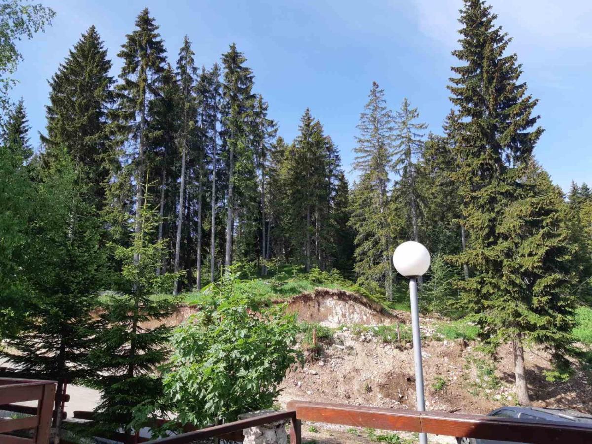 Apartments Sipcic Zabljak  Bagian luar foto