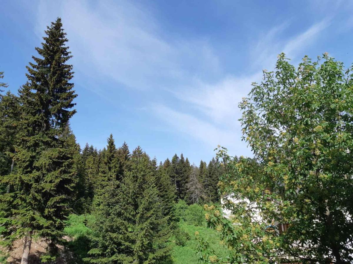 Apartments Sipcic Zabljak  Bagian luar foto