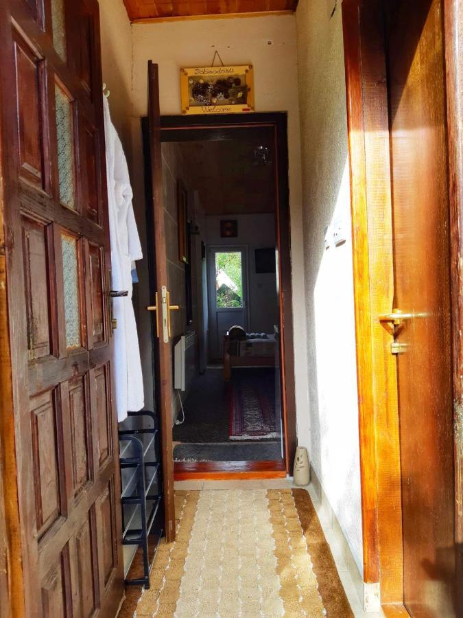 Apartments Sipcic Zabljak  Bagian luar foto