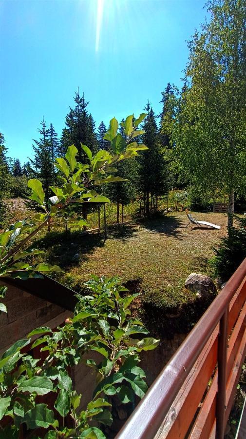 Apartments Sipcic Zabljak  Bagian luar foto