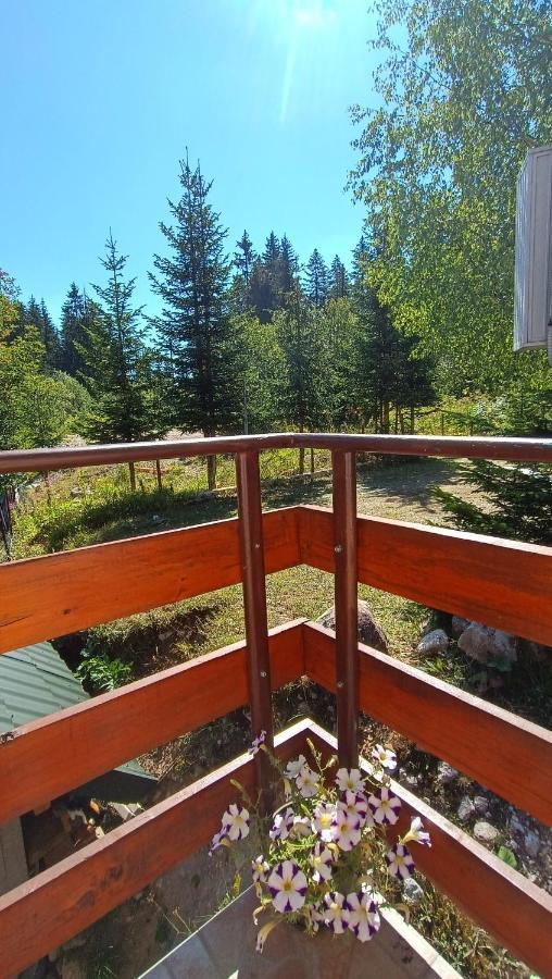 Apartments Sipcic Zabljak  Bagian luar foto